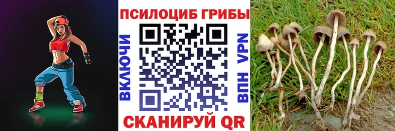 Псилоцибиновые грибы Magic Shrooms Губкин