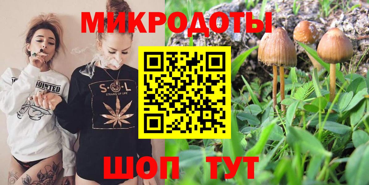 Галлюциногенные грибы Psilocybine cubensis Губкин