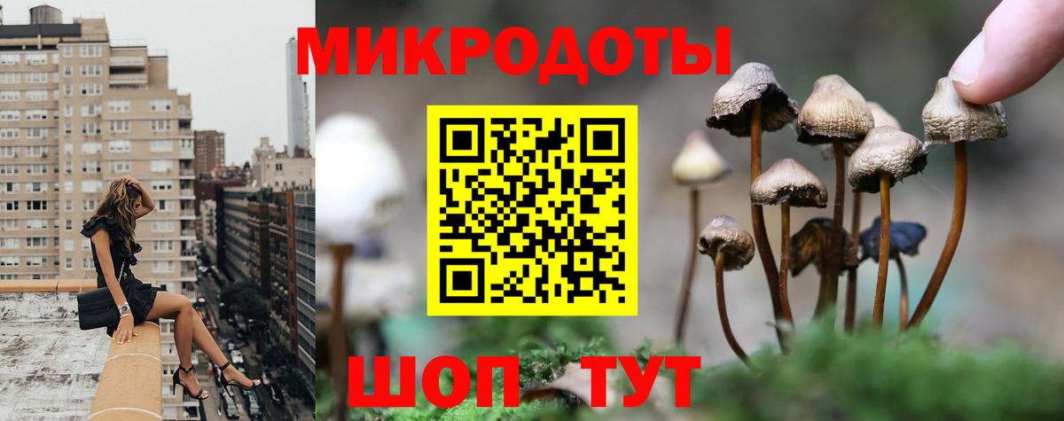 закладка  Вход с VPN  Губкин  Псилоцибиновые грибы Psilocybine cubensis 