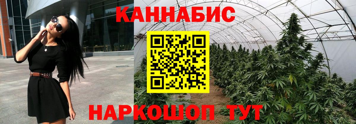 МАРИХУАНА Amnesia  Вход с VPN  Губкин  Бошки марихуана планчик 